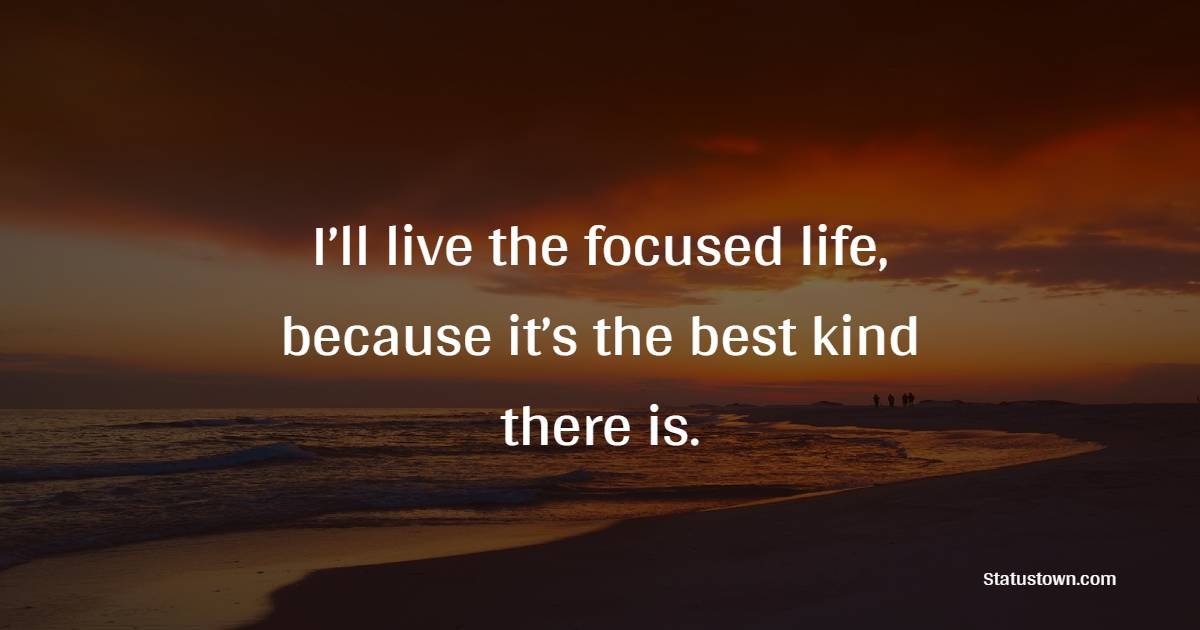 Focused Status: Unlock Your Potential by Concentrating Efforts